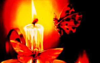 成语“飞蛾扑火”有哪些故事?又该作何解释呢?