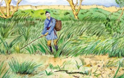 成语“打草惊蛇”有哪些故事?又该作何解释呢?