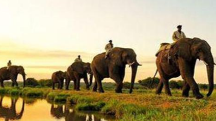 关于大象报恩有什么寓言故事？故事教会了什么道理？