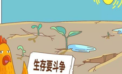 关于适者生存有什么寓言故事？故事教会了什么道理？