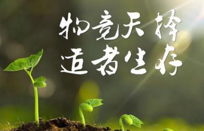 关于适者生存有什么寓言故事？故事教会了什么道理？