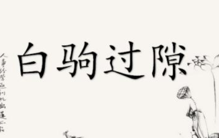 白驹过隙,忽然而已的典故出自哪里?它是什么意思?