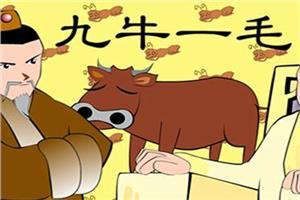 九牛一毛的故事