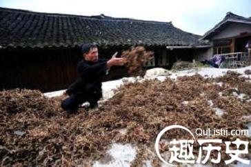 苗族早期的医药活动为何会与巫术相结合