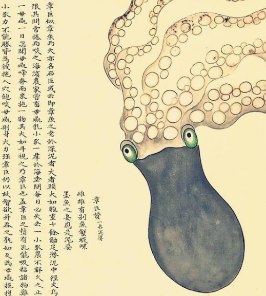 《海错图》是本什么样的书？为何受尽清朝皇帝的青睐？