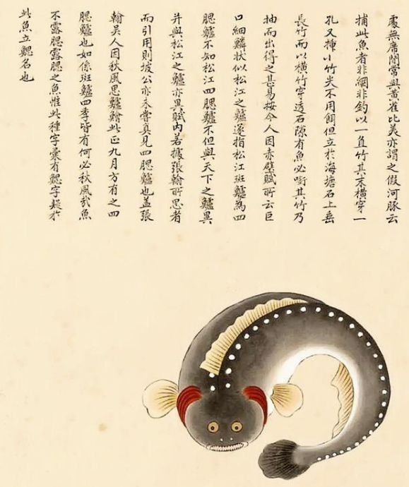 《海错图》是本什么样的书？为何受尽清朝皇帝的青睐？
