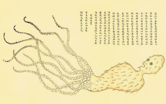 《海错图》是本什么样的书？为何受尽清朝皇帝的青睐？