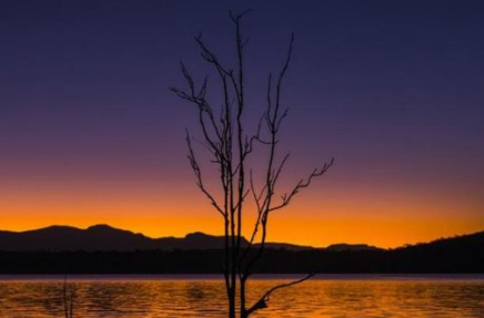 柳宗元和刘禹锡的生死情!柳宗元和刘禹锡是怎么相识相知的?