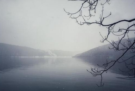 柳宗元和刘禹锡的生死情!柳宗元和刘禹锡是怎么相识相知的?