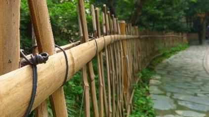 武松说的&ldquo;篱牢犬不入&rdquo;是什么意思？武松为什么要当着潘金莲说？