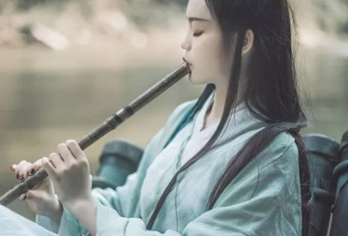 陆游临终前写下的一首诗，不仅仅是遗书更是对皇帝的诫勉书！