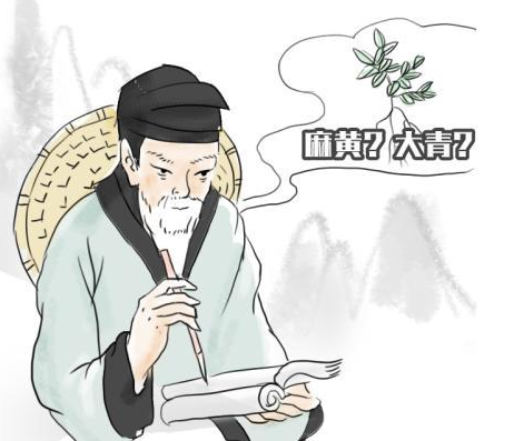 李时珍是怎么著作《本草纲目》的？李时珍为何要亲身试百草？